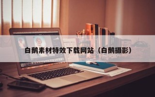 高平白鹅素材特效下载网站（白鹅摄影）